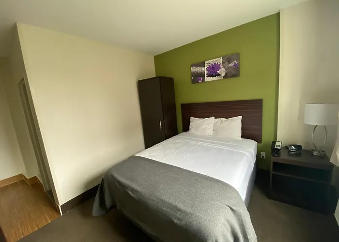 Velvet Hotel